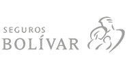 Seguros bolivar gris